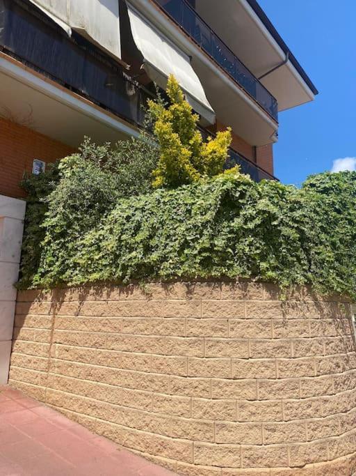 Apartamento Loft, Λορέτ Ντε Μαρ Εξωτερικό φωτογραφία